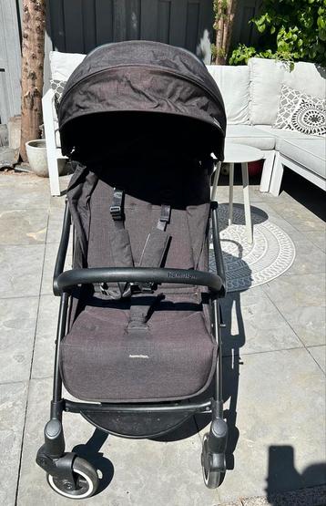 Mooie zwarte buggy van Hamilton  beschikbaar voor biedingen