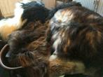 Langharige mooie grote IJslandse schapenvachten 1m - 1m20, Huis en Inrichting, Stoffering | Tapijten en Kleden, Ophalen of Verzenden