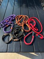 Leuke gekleurde honden riemen met halsband, Ophalen of Verzenden, Gebruikt