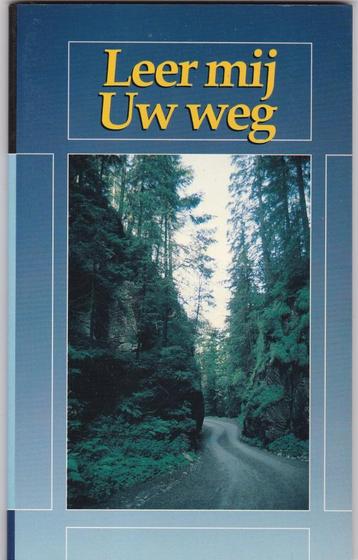 Mauritz, J.H.– Leer mij Uw weg (vragen rond Gods leiding in beschikbaar voor biedingen