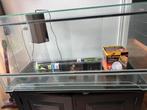 Terrarium, Dieren en Toebehoren, Reptielen en Amfibieën | Toebehoren, Ophalen, Gebruikt