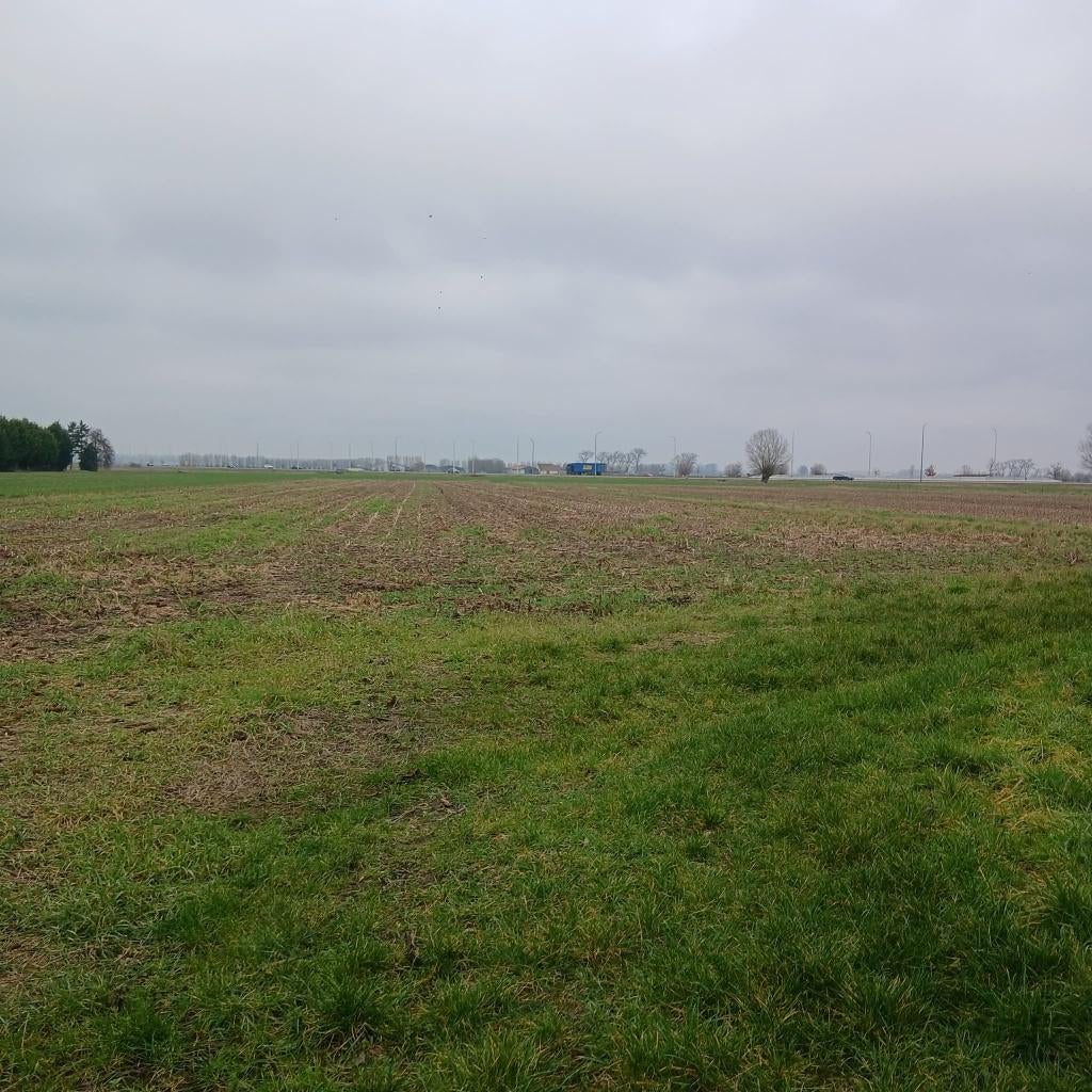 landbouwgrond akkerland te koop, Zakelijke goederen, Agrarisch | Agrarisch Onroerend goed, Ophalen, 1 tot 5 ha, Akkerbouwbedrijf