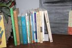 Stapel theologische boeken, Ophalen of Verzenden, Gelezen, Christendom | Protestants