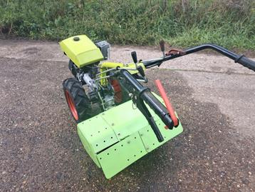Tuinfrees beschikbaar voor biedingen