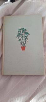 G Kromdijk - Onze kamerplanten, Boeken, Wonen en Tuinieren, G Kromdijk, Ophalen of Verzenden, Zo goed als nieuw, Kamerplanten