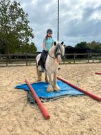Top brave kinderpony, Dieren en Toebehoren, Pony's, Merrie