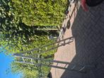 Ladders, Doe-het-zelf en Verbouw, Ladders en Trappen, Ophalen, Zo goed als nieuw, 4 meter of meer