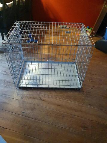Honden bench beschikbaar voor biedingen