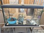 Aquarium Ferplast 90 ltr, Dieren en Toebehoren, Vissen | Aquaria en Toebehoren, Ophalen