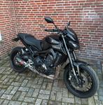Yamaha MT-09 Akrapovič – zeer compleet - NL geleverd, Motoren, Motorrijbewijs A, Handvatverwarming, 3 cilinders, Particulier