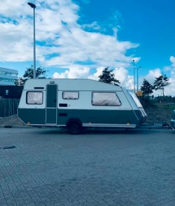 Mooie Kip Greyline 48T beschikbaar voor biedingen