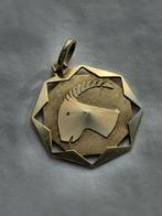 14K Gouden Hanger Sterrenbeeld Steenbok, Ophalen of Verzenden, Zo goed als nieuw, Goud, Goud