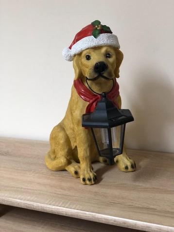 Kerst hond (labrador) beschikbaar voor biedingen