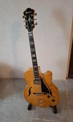 Ibanez PM20 Hollow body met mooie koffer, Ophalen, Zo goed als nieuw, Hollow body, Ibanez