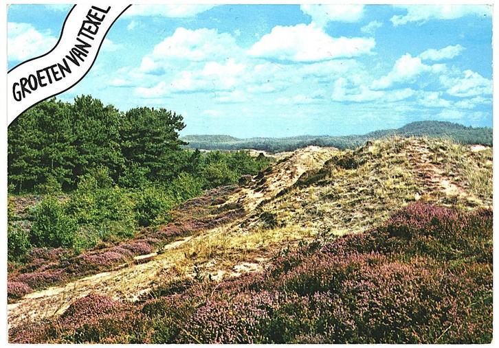 909902	Texel	1977	 	 	Gelopen met postzegel, Verzamelen, Ansichtkaarten | Nederland, Gelopen, Waddeneilanden, 1960 tot 1980, Ophalen of Verzenden