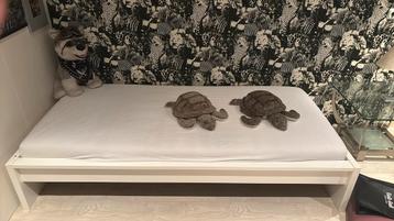 Nieuw bed+ 2 nieuwe schilpaddenknuffels beschikbaar voor biedingen
