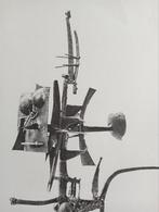 Tajiri Cobra sculptuur foto prent 1967, Verzenden, 1960 tot 1980, Gebruikt