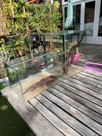 Terrariums, Dieren en Toebehoren, Reptielen en Amfibieën, Hagedis, 0 tot 2 jaar