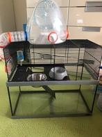 Kooi voor verschillende dieren, Dieren en Toebehoren, Knaagdieren en Konijnen | Hokken en Kooien, Kooi, Minder dan 75 cm, Zo goed als nieuw