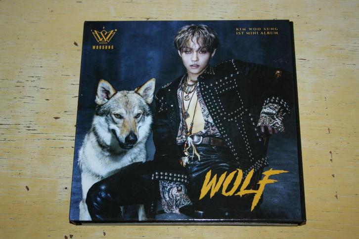 Woosung Wolf Kim Woo Sung 1st Mini Album The Rose K-Pop, Cd's en Dvd's, Cd's | R&B en Soul, Zo goed als nieuw, 1960 tot 1980, Ophalen of Verzenden