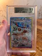 Pokemon TCG - Eevee EX #223 BGS 9.5 (Terastal Festival), Ophalen of Verzenden, Nieuw, Losse kaart, Foil