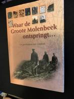 H. Kluijtmans - Historie van het dorp Grashoek, Boeken, Geschiedenis | Stad en Regio, H. Kluijtmans, Ophalen of Verzenden, Zo goed als nieuw