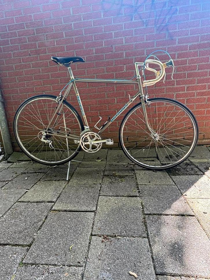 Batavus Criterium 1984 - Klassieke Racefiets, Fietsen en Brommers, Fietsen | Racefietsen, Gebruikt, Heren, Batavus, Minder dan 10 versnellingen