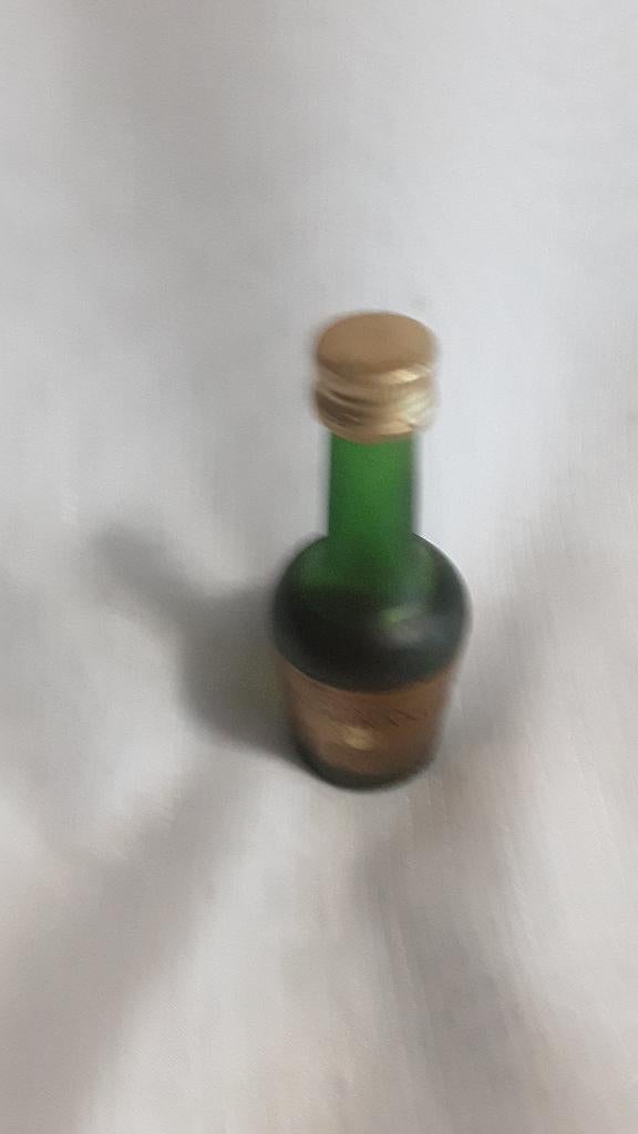 GASTON DE LAGRANGE cognac glaasje, miniatuur (32), Verzamelen, Ophalen of Verzenden, Nieuw, Gebruiksvoorwerp
