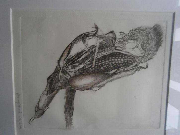 M.JELTES, Proefdruk ets Open Maiskolf goed lijstje, Antiek en Kunst, Kunst | Etsen en Gravures, Ophalen