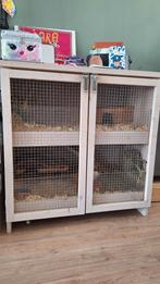 Caviahok 2 etages, Ophalen, Gebruikt, 90 cm of meer, Hok