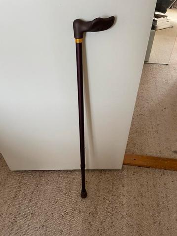 Wandelstok voor oudere heer beschikbaar voor biedingen