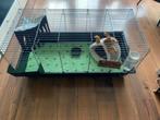 Kooi voor cavia/konijn met veel accessoires, Dieren en Toebehoren, Knaagdieren en Konijnen | Hokken en Kooien, Minder dan 60 cm