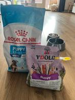 Puppy voer, Ophalen, Hond