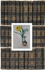 1880 - Flora von Deutschland. 3500 kleuren litho; s !!, Antiek en Kunst, Antiek | Boeken en Bijbels, Ophalen of Verzenden