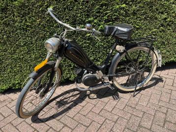 Berini M21 beschikbaar voor biedingen