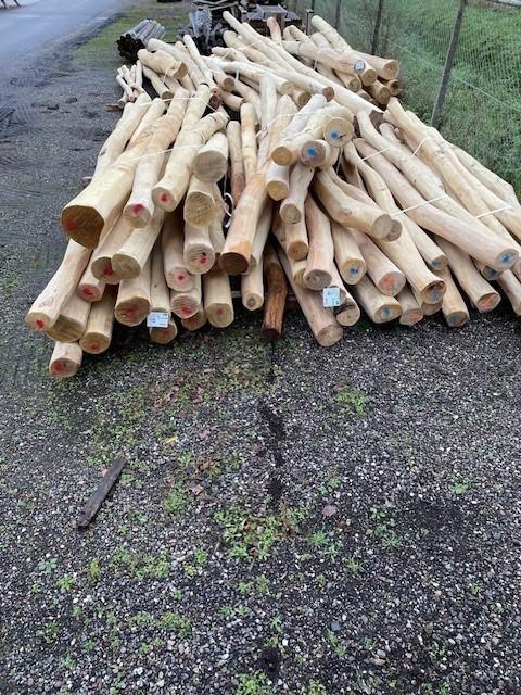 Robinia spintvrij + geschuurd B-keus, Tuin en Terras, Palen, Balken en Planken, Nieuw, Palen, 250 cm of meer, Hardhout, Ophalen