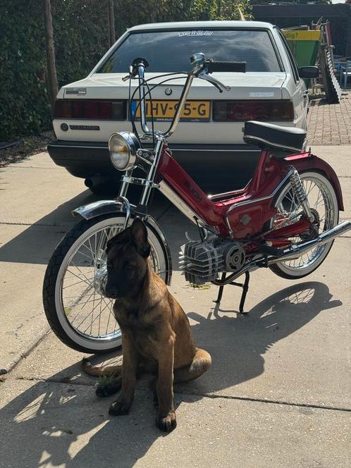 Puch maxi s, Fietsen en Brommers, Brommeronderdelen | Puch, Ophalen of Verzenden