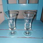 Jagermeister Borrelglaasjes 2 stuks, Verzamelen, Glas en Borrelglaasjes, Ophalen, Gebruikt, Borrel- of Shotglas
