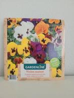 Bloemen kweekset viooltjes, Ophalen of Verzenden, Nieuw, Overige typen