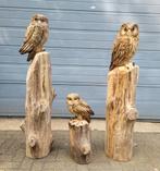 Diverse houtsnijwerken van een uil tuinbeeld houtsculptuur, Verzenden, Nieuw, Hout, Dierenbeeld