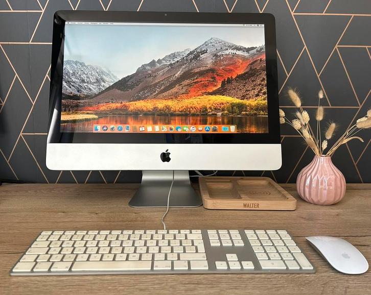 Apple iMac 21.5-inch (Late 2009), Computers en Software, Apple Desktops, Gebruikt, iMac, Ophalen