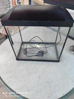 Aquarium van het merk superfish., Ophalen, Zo goed als nieuw, Leeg aquarium