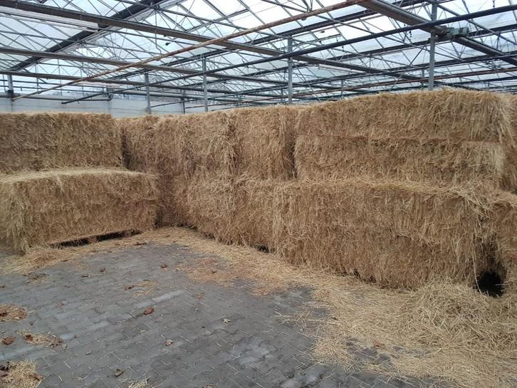 Paardenhooi, Dieren en Toebehoren, Dierenvoeding, Vee, Ophalen