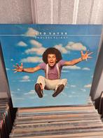Vinyl lp LEO SAYER: ENDLESS FLIGHT, Cd's en Dvd's, Vinyl | Pop, Ophalen of Verzenden, 1960 tot 1980, 12 inch