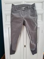Paardrijbroek grijs merk Harry's Horse (damesmaat 38/40), Gebruikt, Dressuur, Ophalen of Verzenden, Dames