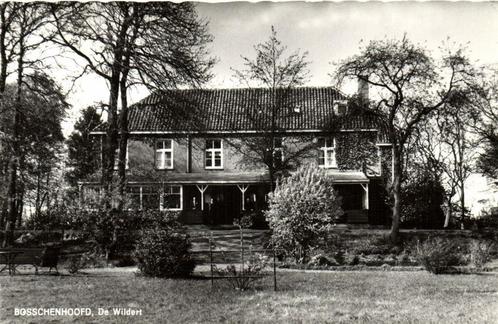 Bosschenhoofd, De Wildert - ongelopen, Verzamelen, Ansichtkaarten | Nederland, Ongelopen, Overijssel, 1920 tot 1940, Ophalen of Verzenden