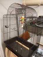 Vogelkooi, Dieren en Toebehoren, Ophalen