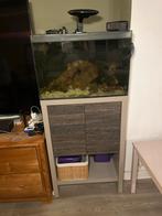 Zoutwater aquarium, Dieren en Toebehoren, Ophalen, Leeg aquarium