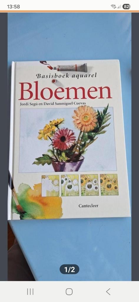 Basisboek aquarel bloemen - Jordi Segú, Hobby en Vrije tijd, Schilderen, Ophalen