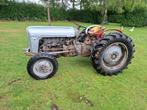 Ferguson goudbuikje, Ophalen, Tot 2500, Oldtimer, Tot 80 Pk